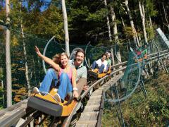 Alpsee Coaster
