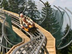 Alpsee Coaster