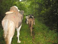 Kamelfarm Allgäu