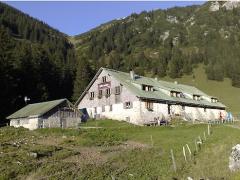 Willersalpe