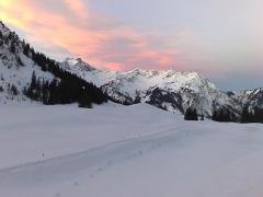 Willersalpe