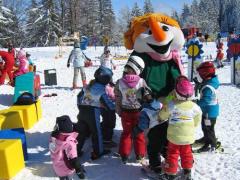 Skiarena Steibis