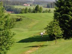 Golfclub Wiggensbach