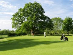 Golfclub Bad Wörishofen e.V.
