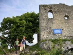 Ruine Falkenstein