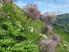 Breitenbergbahn mit Hochalpbahn