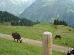 Walmendingerhornbahn