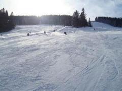 Alpsee Bergwelt