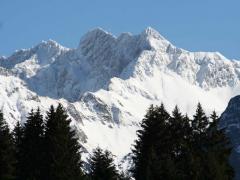 Bolsterlang