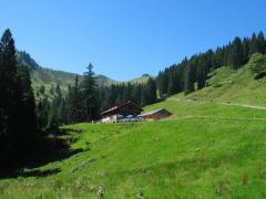 Bolsterlang