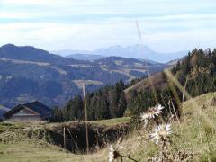 Oberstaufen