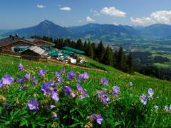 Ofterschwang