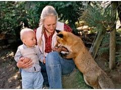 Alpenwildpark