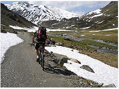 Biken - Walser Bike
