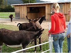 Tierparadies